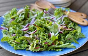 Read more about the article Endive & Mixed Greens Salad with Honey, Mustard and Ginger Dressing