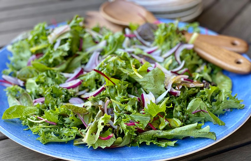 You are currently viewing Endive & Mixed Greens Salad with Honey, Mustard and Ginger Dressing