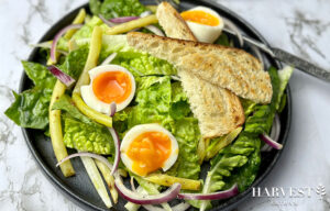 Read more about the article Coz & Yellow Bean Salad with Eggs & Homemade Sourdough Croutons