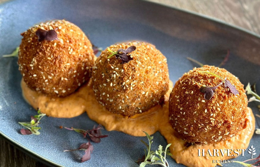 You are currently viewing Chicken, Leek & Mushroom Arancini with Roast Capsicum & Walnut Dip