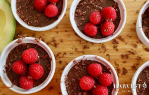 Read more about the article Avocado Chocolate Mousse