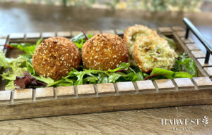 Read more about the article 4-Cheese Melbourne Arancini with Mixed Leaves