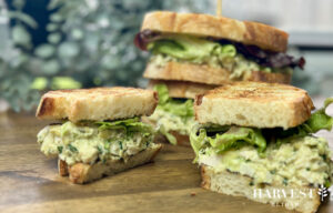 Read more about the article Creamy Game Day Chicken & Bearnaise Toasted Sandwiches